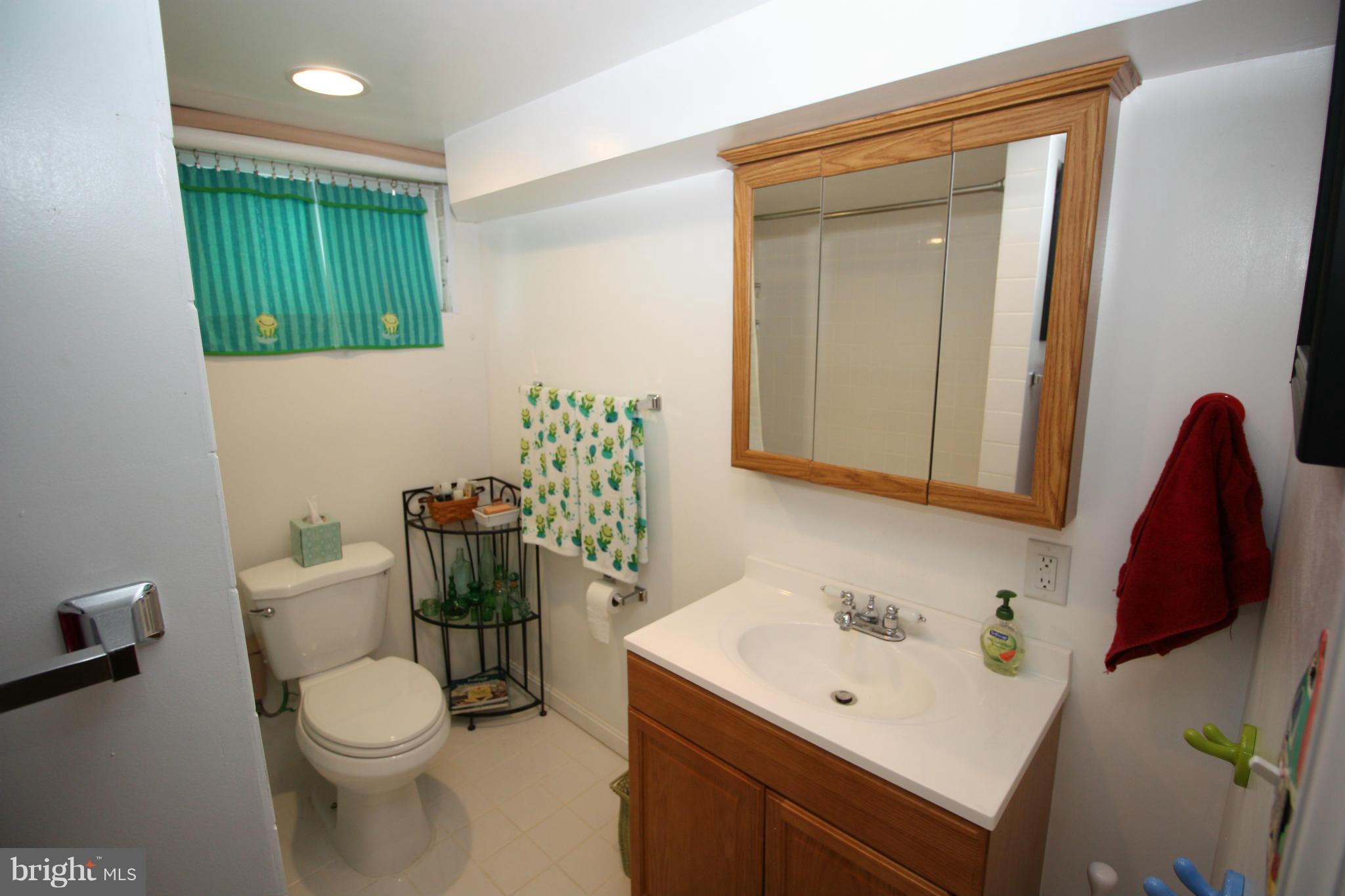6027 Craig Street Springfield, VA 22150 - Photo 16 of 18 Bath