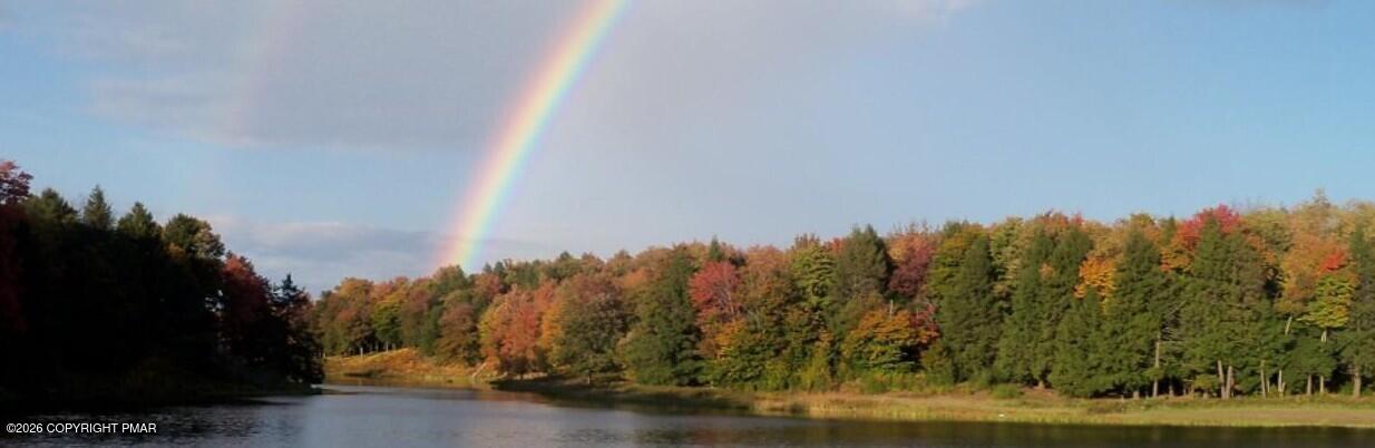 150 Mountain Drive Greentown, PA 18426 - Photo 7 of 9 a view of a yard