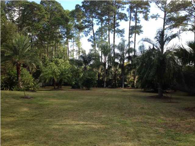 798 Driftwood Point Road Santa Rosa Beach, FL 32459 - Photo 6 of 11 a view of a field with trees in the background