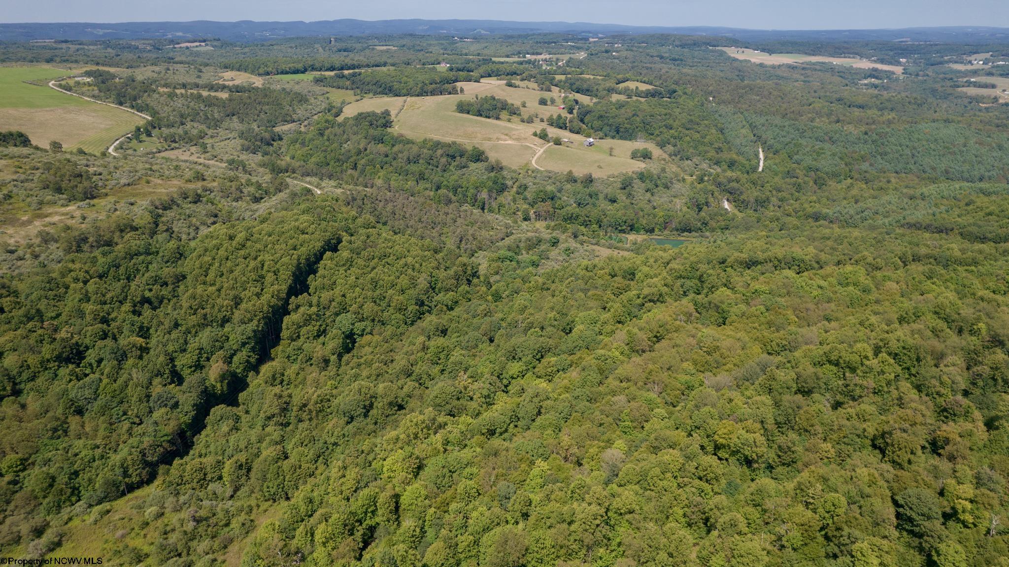 Tbd Beech Run Road Albright, WV 26519 - Photo 13 of 32 Gallery Image 13