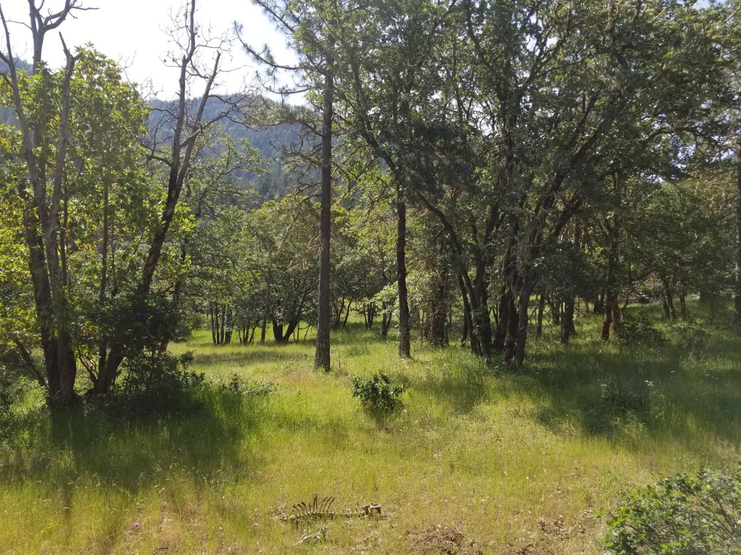 3599 Kane Creek Road Central Point, OR 97502 - Photo 6 of 20 a view of lake with green space