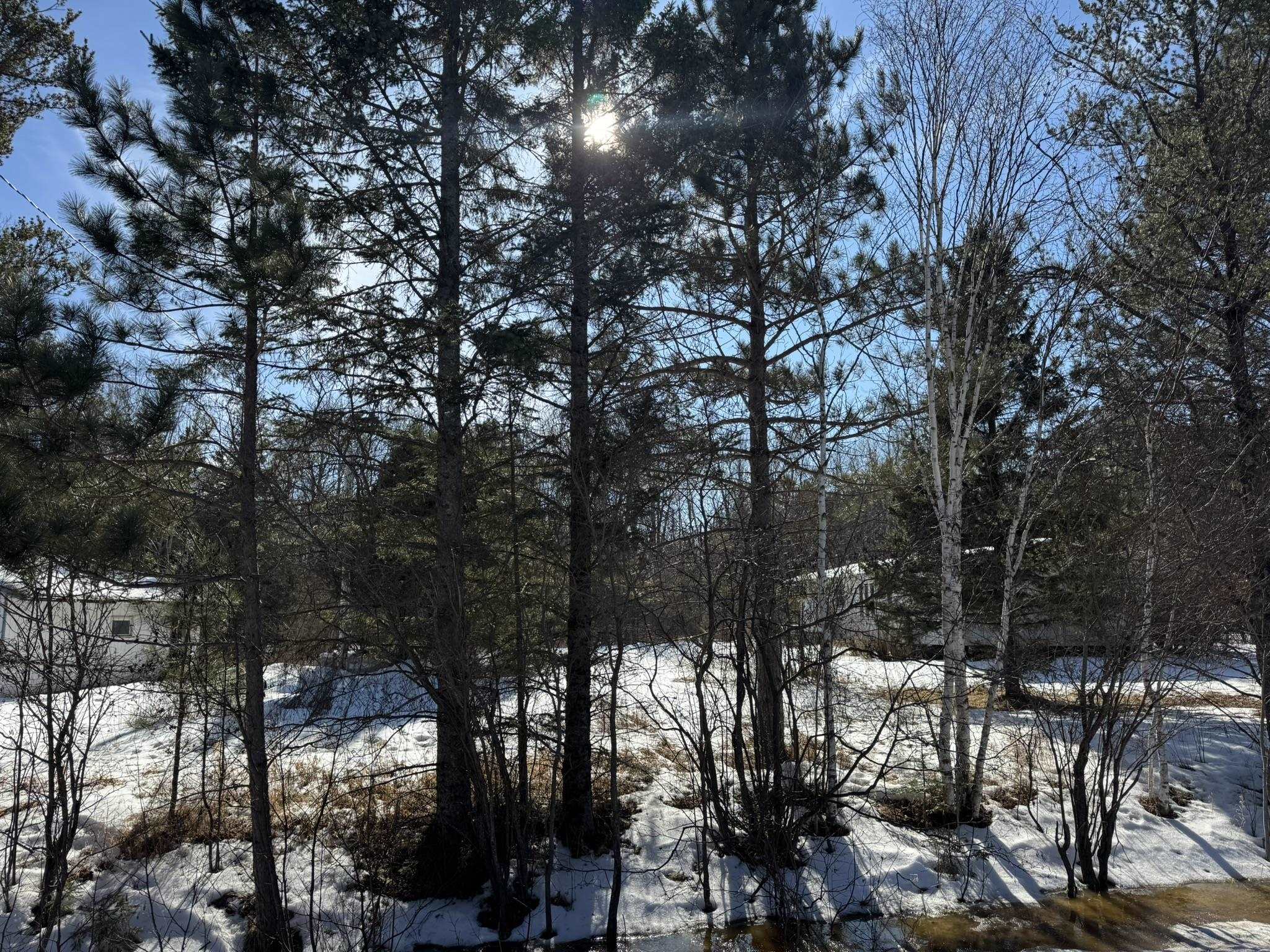 812 Old Drummond Road Two Harbors, MN 55616 - Photo 9 of 20
