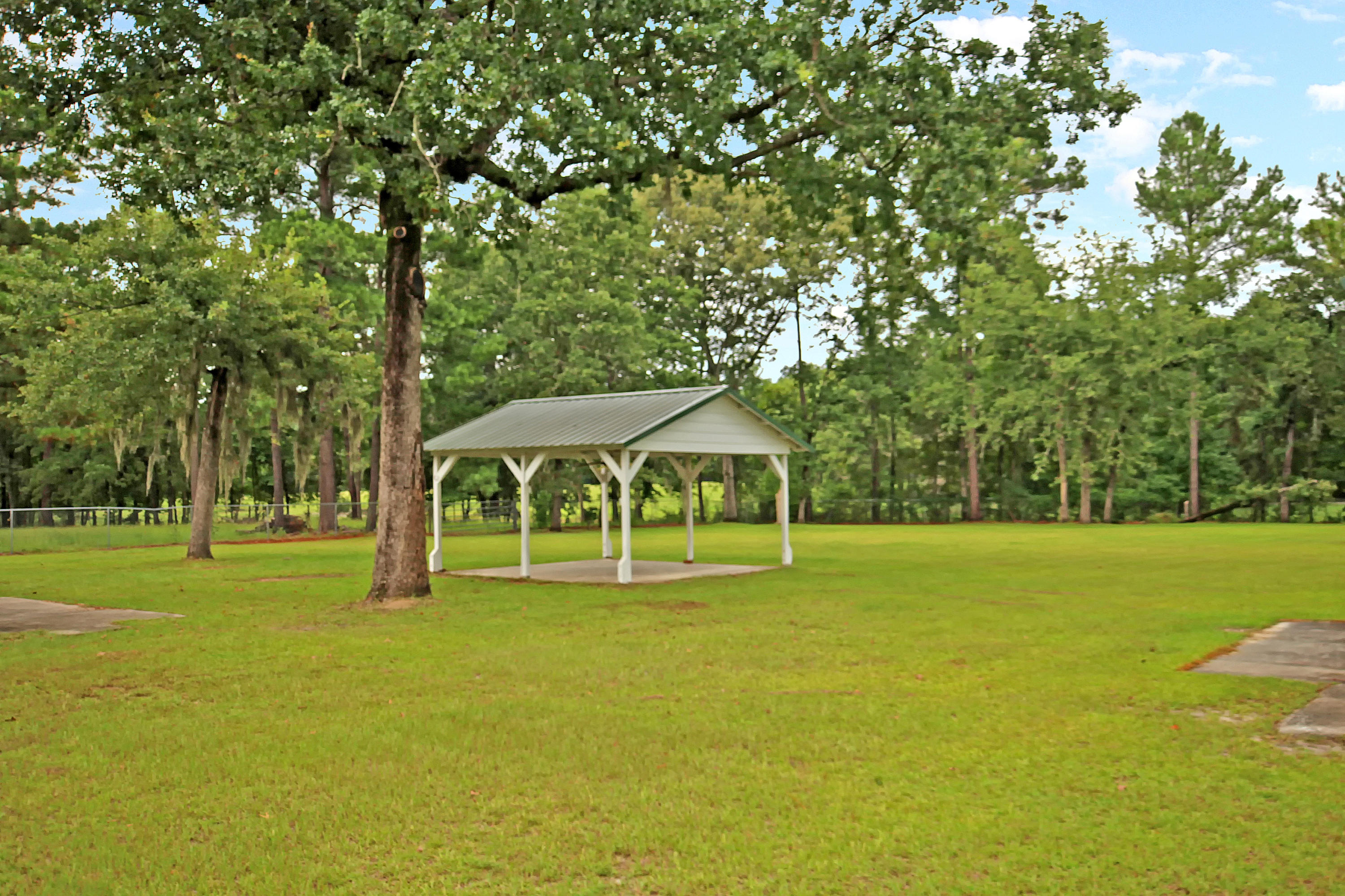 197 Sweatman Road Dorchester, SC 29437 - Photo 27 of 37 IMG_1749 copy