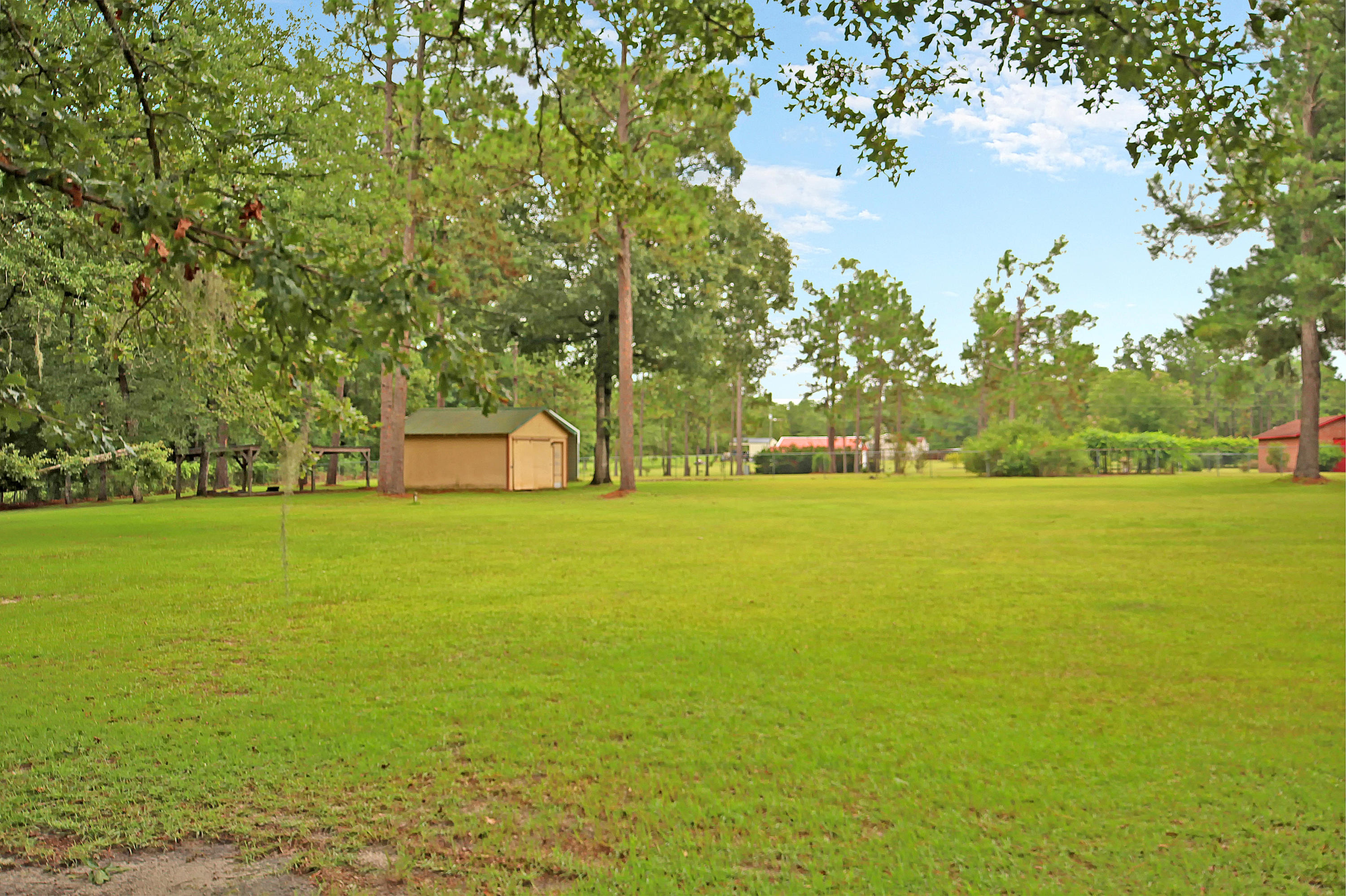 197 Sweatman Road Dorchester, SC 29437 - Photo 32 of 37 IMG_1625 copy