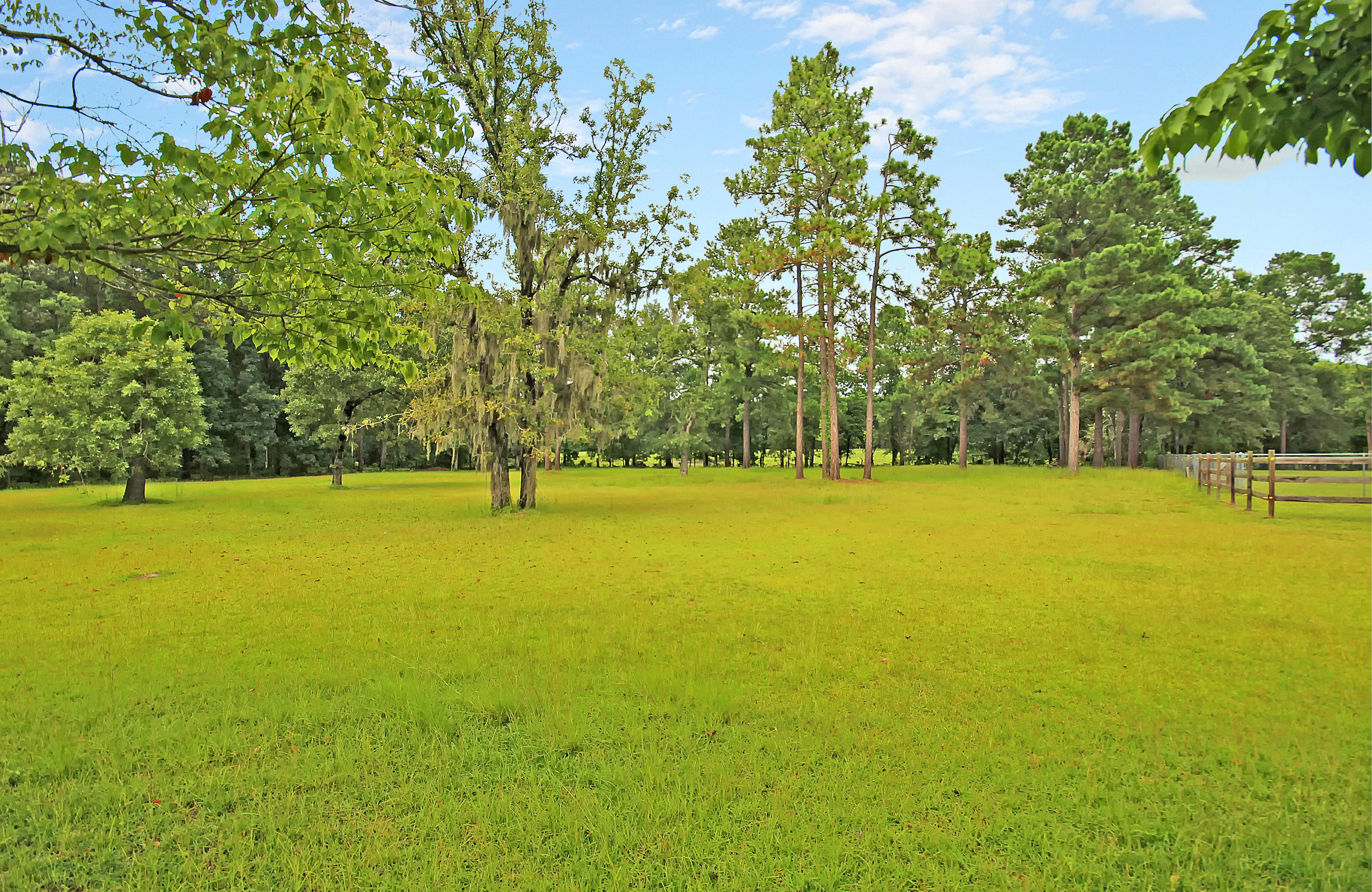 197 Sweatman Road Dorchester, SC 29437 - Photo 35 of 37 IMG_1684 copy
