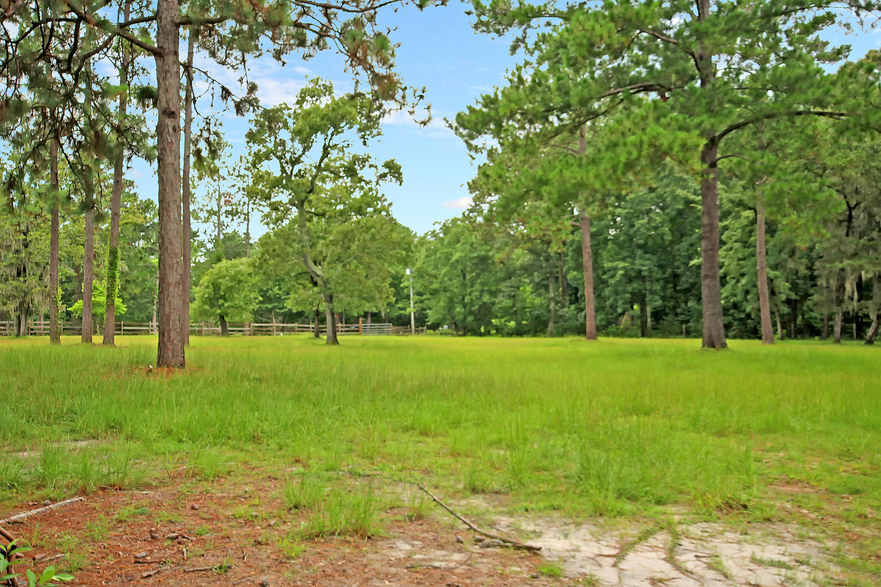 197 Sweatman Road Dorchester, SC 29437 - Photo 37 of 37 IMG_1615 copy