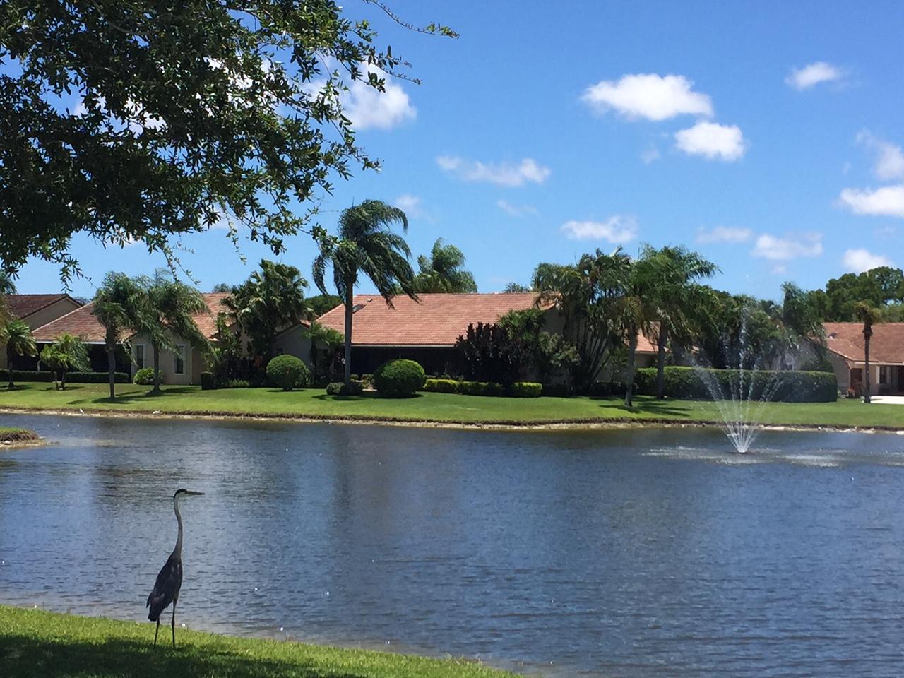 8675 Eagle Run Drive Boca Raton, FL 33434 - Photo 2 of 46 Bird lake 2