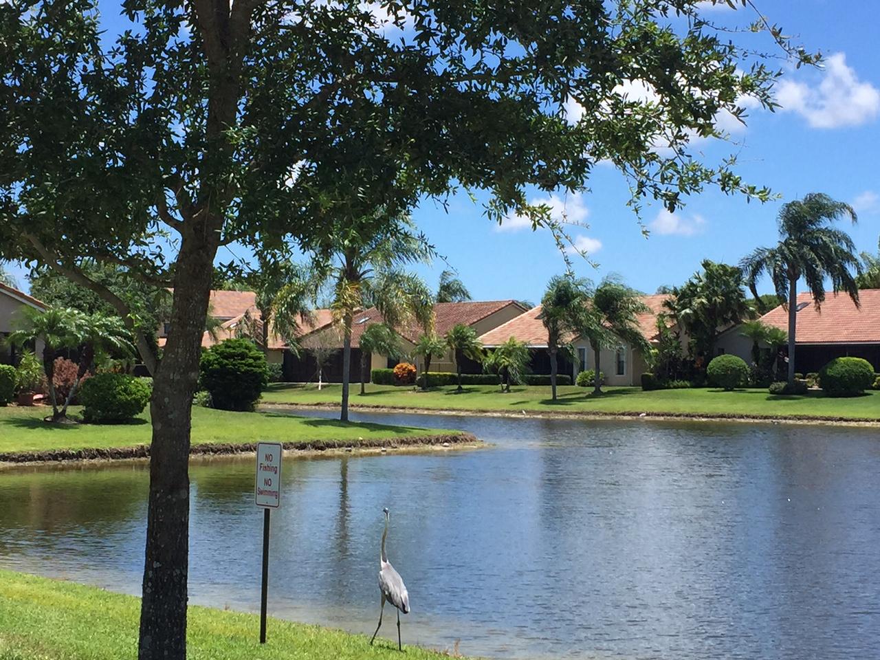 8675 Eagle Run Drive Boca Raton, FL 33434 - Photo 46 of 46 Bird by Lake1