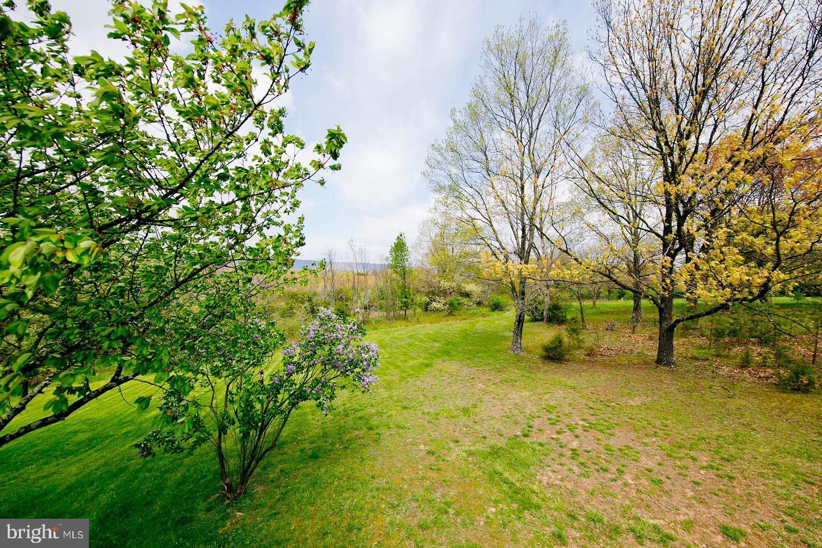 906 McDonald Road Winchester, VA 22602 - Photo 43 of 50 Gallery Image 43