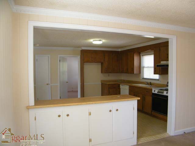 507 Phillips Road Greer, SC 29650 - Photo 11 of 18 Gallery Image 11