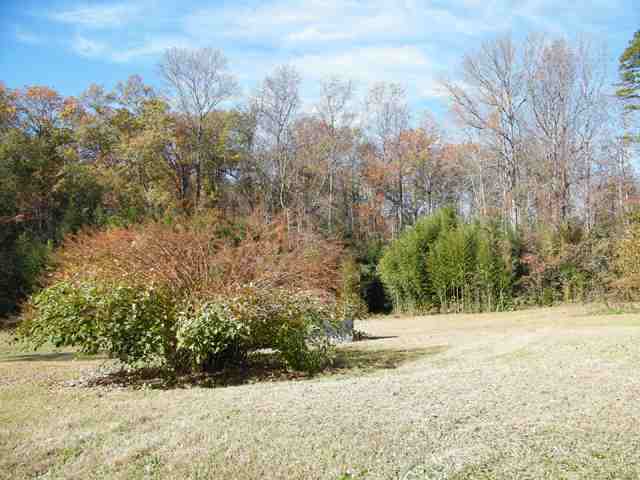 507 Phillips Road Greer, SC 29650 - Photo 16 of 18 Gallery Image 16