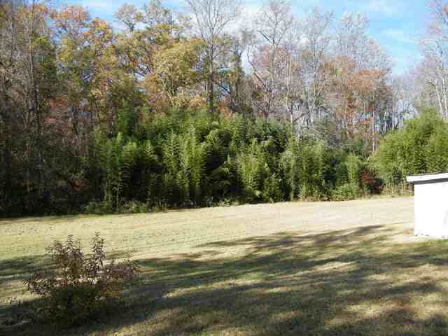 507 Phillips Road Greer, SC 29650 - Photo 17 of 18 Gallery Image 17
