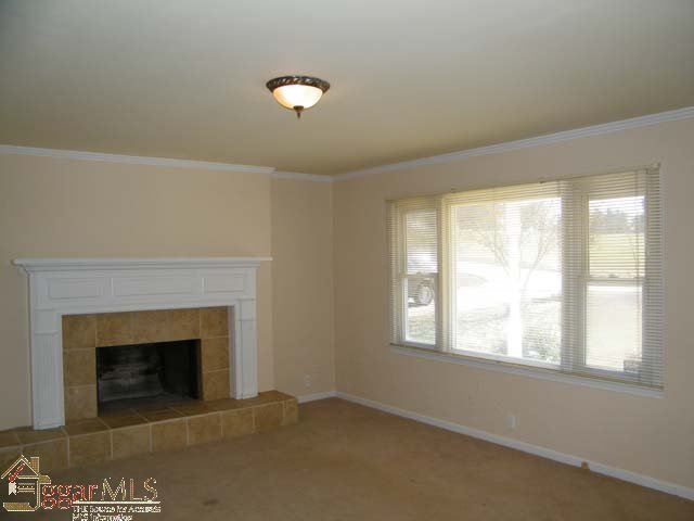 507 Phillips Road Greer, SC 29650 - Photo 10 of 18 Gallery Image 10