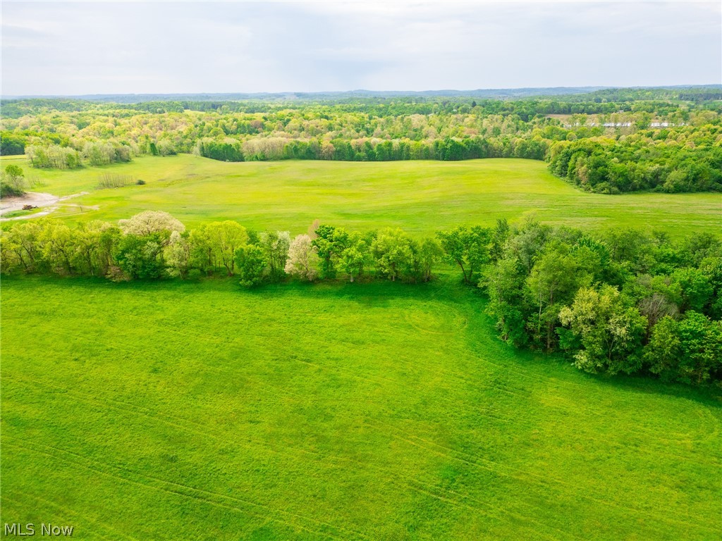Emerick Road Summitville, OH 43962 - Photo 31 of 47