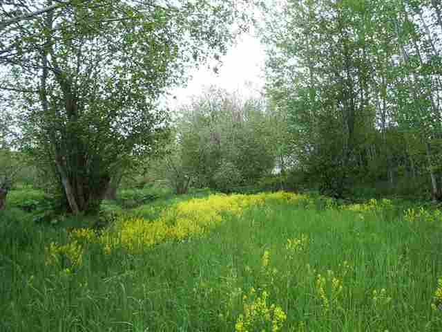6303 West Staley Road Deer Park, WA 99006 - Photo 4 of 7