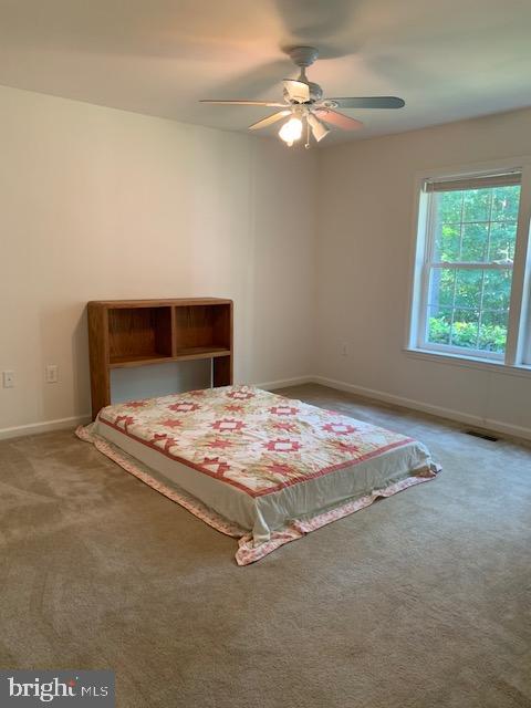 79 Douglas Road Mineral, VA 23117 - Photo 23 of 42 Gallery Image 23