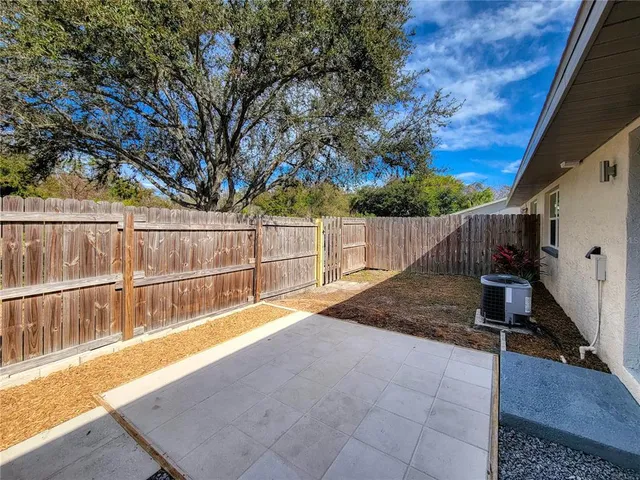 a view of a backyard with a large tree