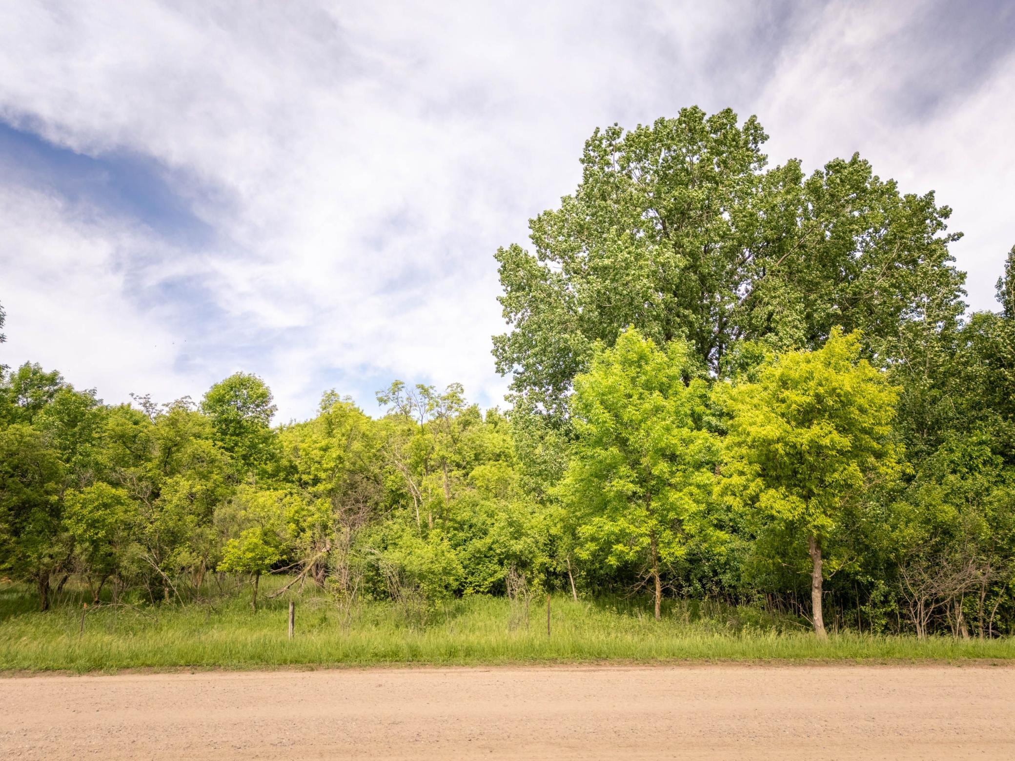 Xxx 270th Street Brooten, MN 56316 - Photo 7 of 8