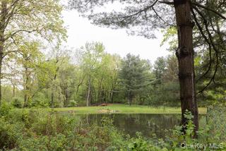 60 Eddy Road Verbank, NY 12585 - Photo 43 of 48