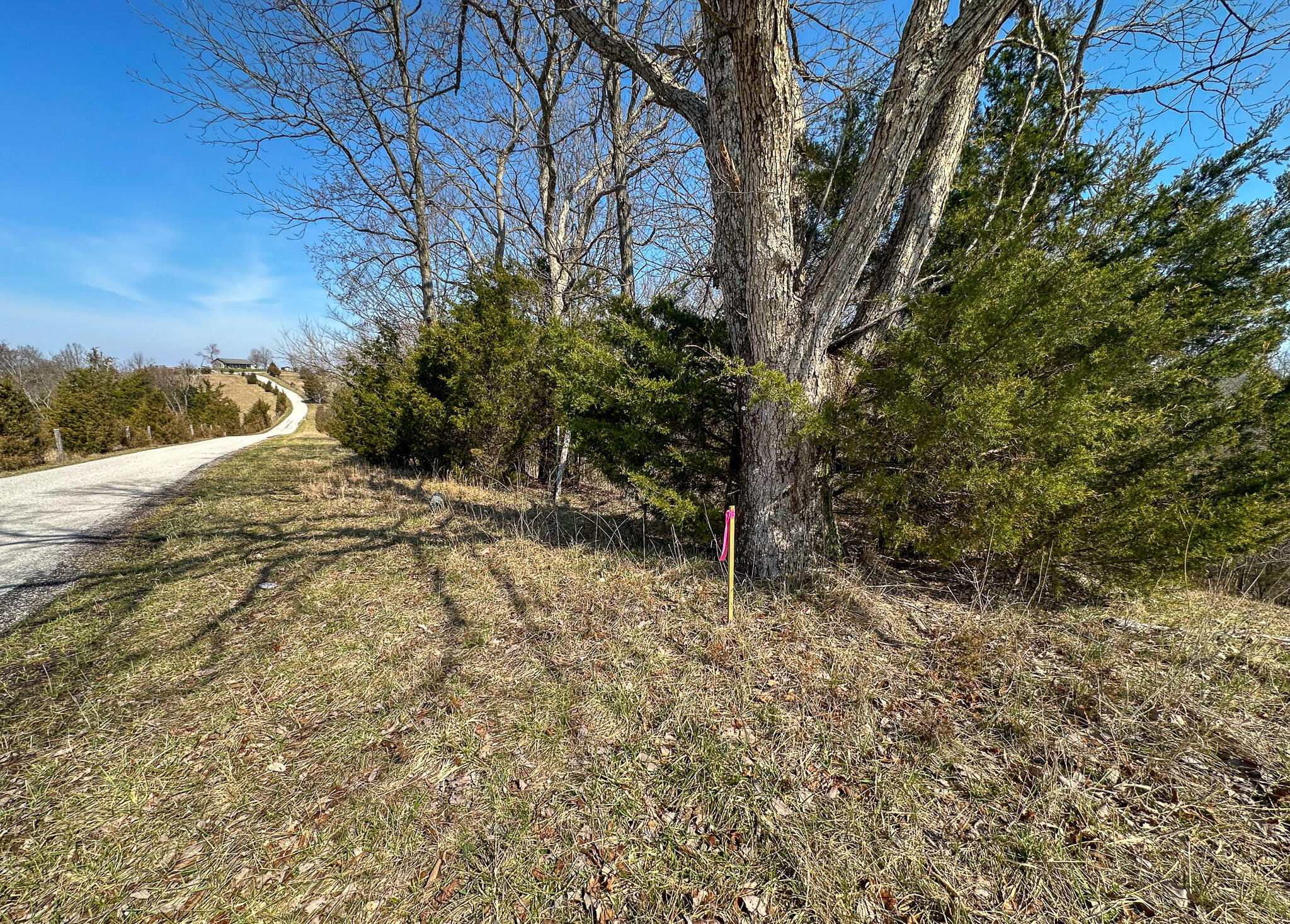 58 Beckett Road Berry, KY 41003 - Photo 35 of 38 Patrick_35