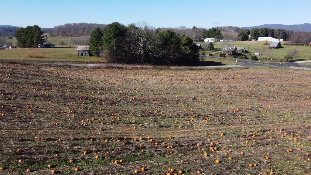 Tbd Long Level Road Southwest Floyd, VA 24091 - Photo 4 of 14 Gallery Image 4