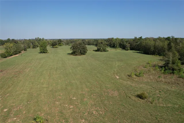 a view of a field with an trees