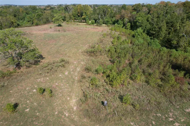 a view of a yard with a tree