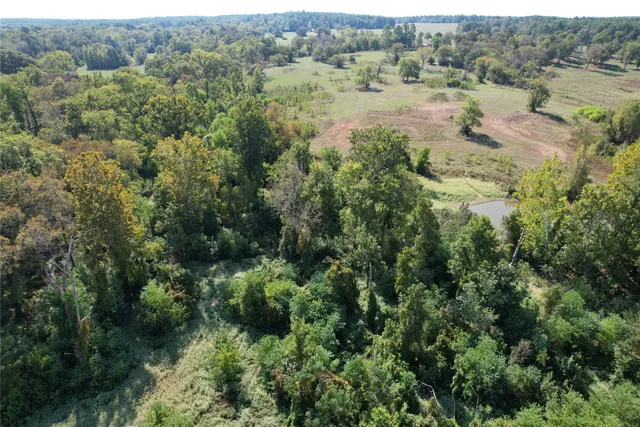 an aerial view of forest