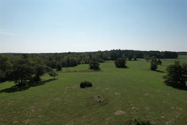a view of a garden with trees