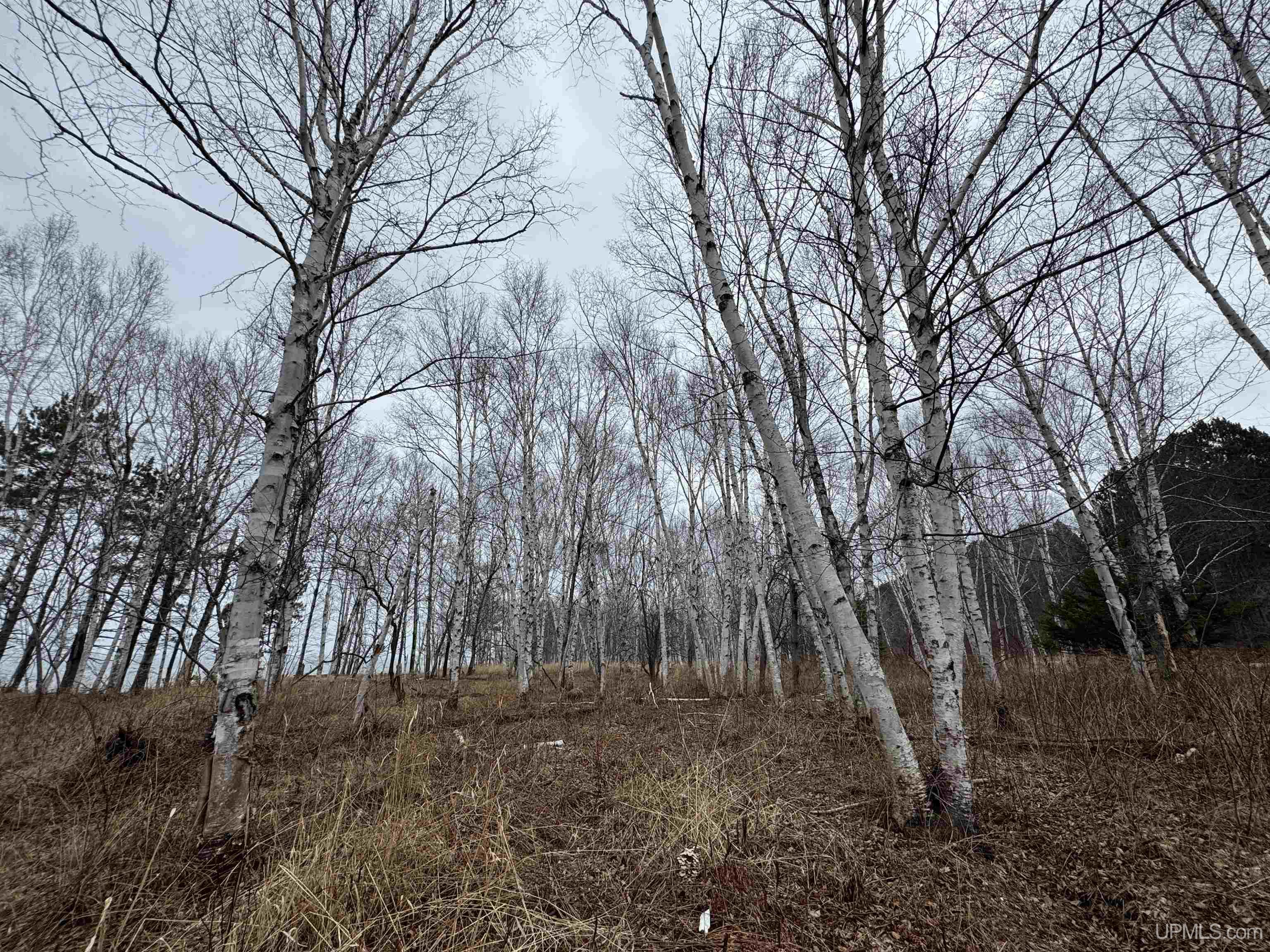 380 East Lake Road Ironwood, MI 49938 - Photo 6 of 50