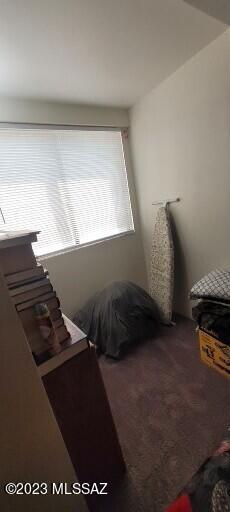 108 East Pastime Road Tucson, AZ 85705 - Photo 21 of 22