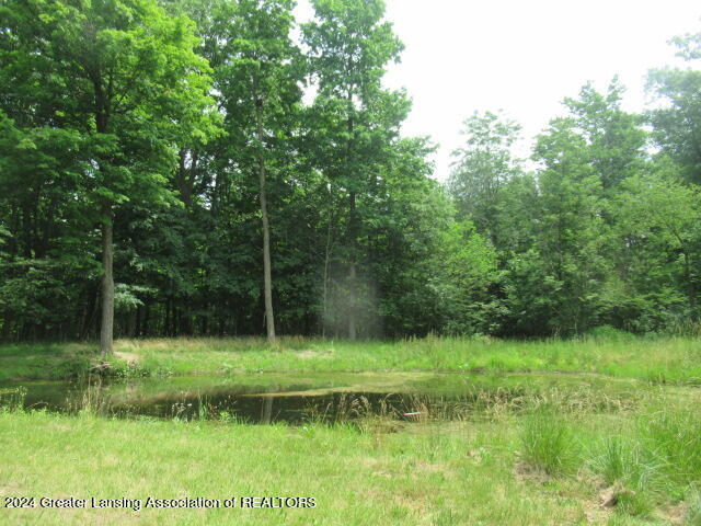 7436 Stow Road Fowlerville, MI 48836 - Photo 24 of 25 IMG_3849