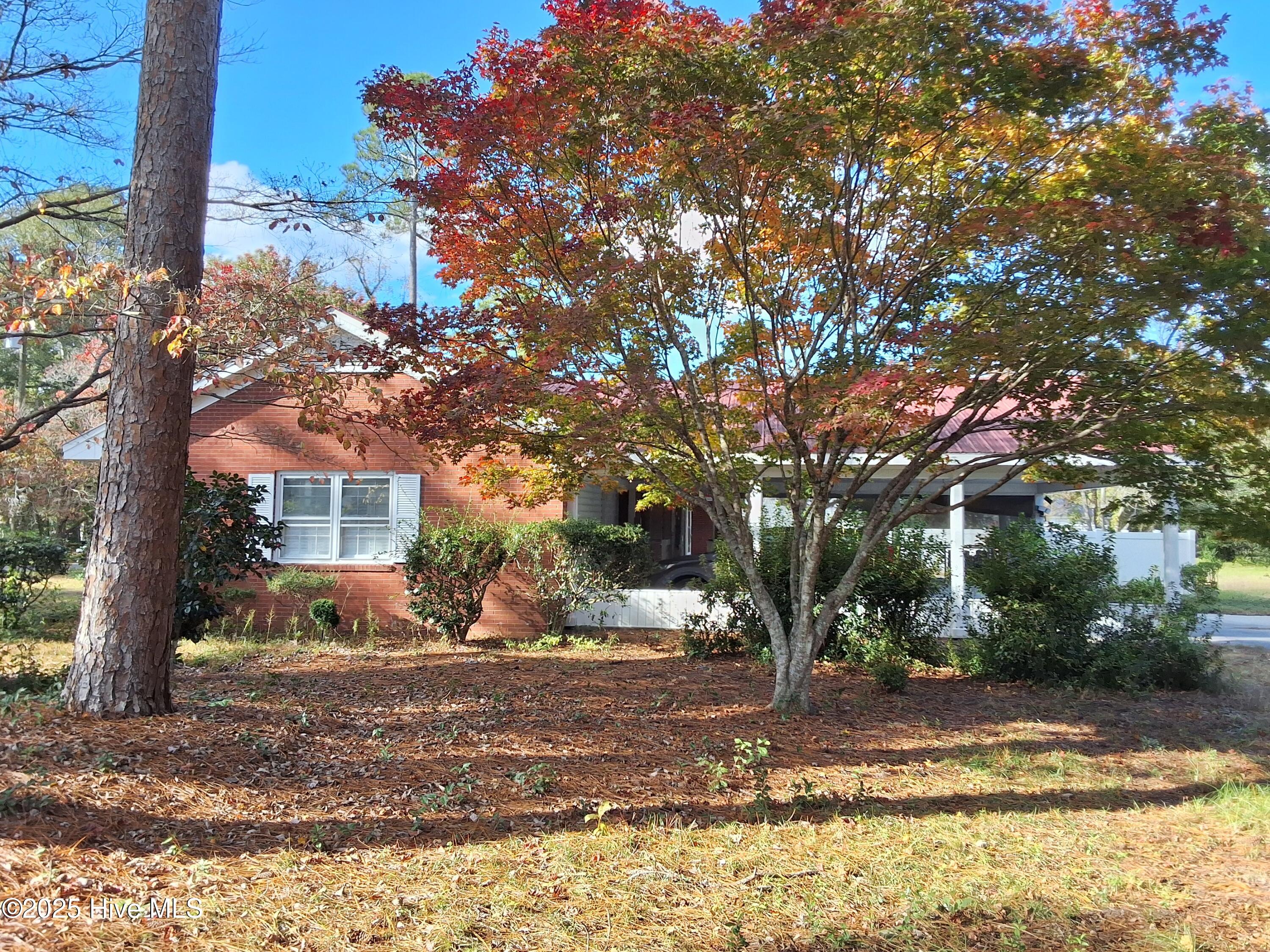 33 Gapway Road Fair Bluff, NC 28439 - Photo 68 of 108 1000003267