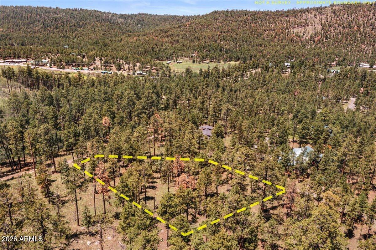 14 County Rd N1062, Unit 15 Greer, AZ 85927 - Photo 6 of 15 06-DJI_0451