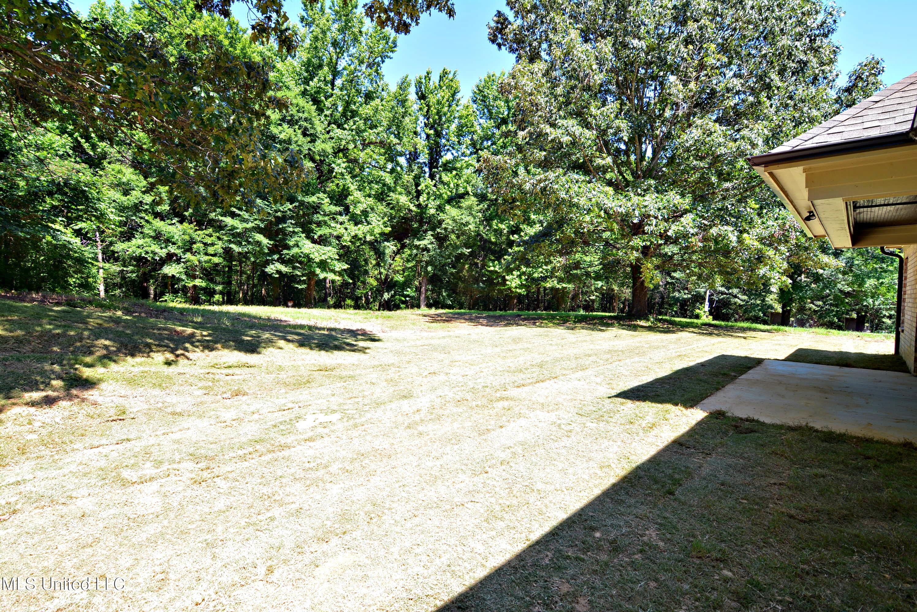 4810 Bluff Road Hernando, MS 38632 - Photo 24 of 27 Back Yard