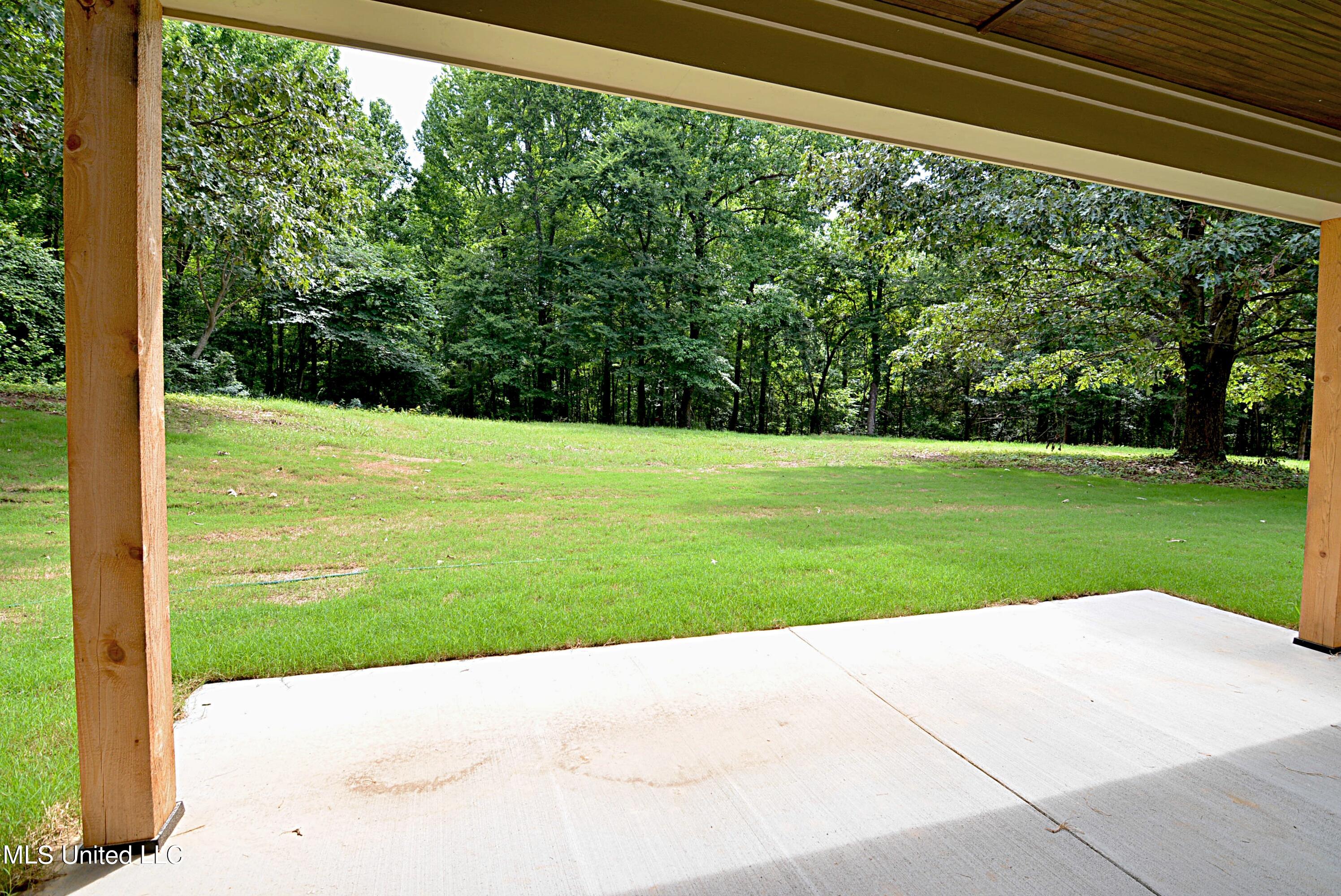 4810 Bluff Road Hernando, MS 38632 - Photo 25 of 27 Back Yard View