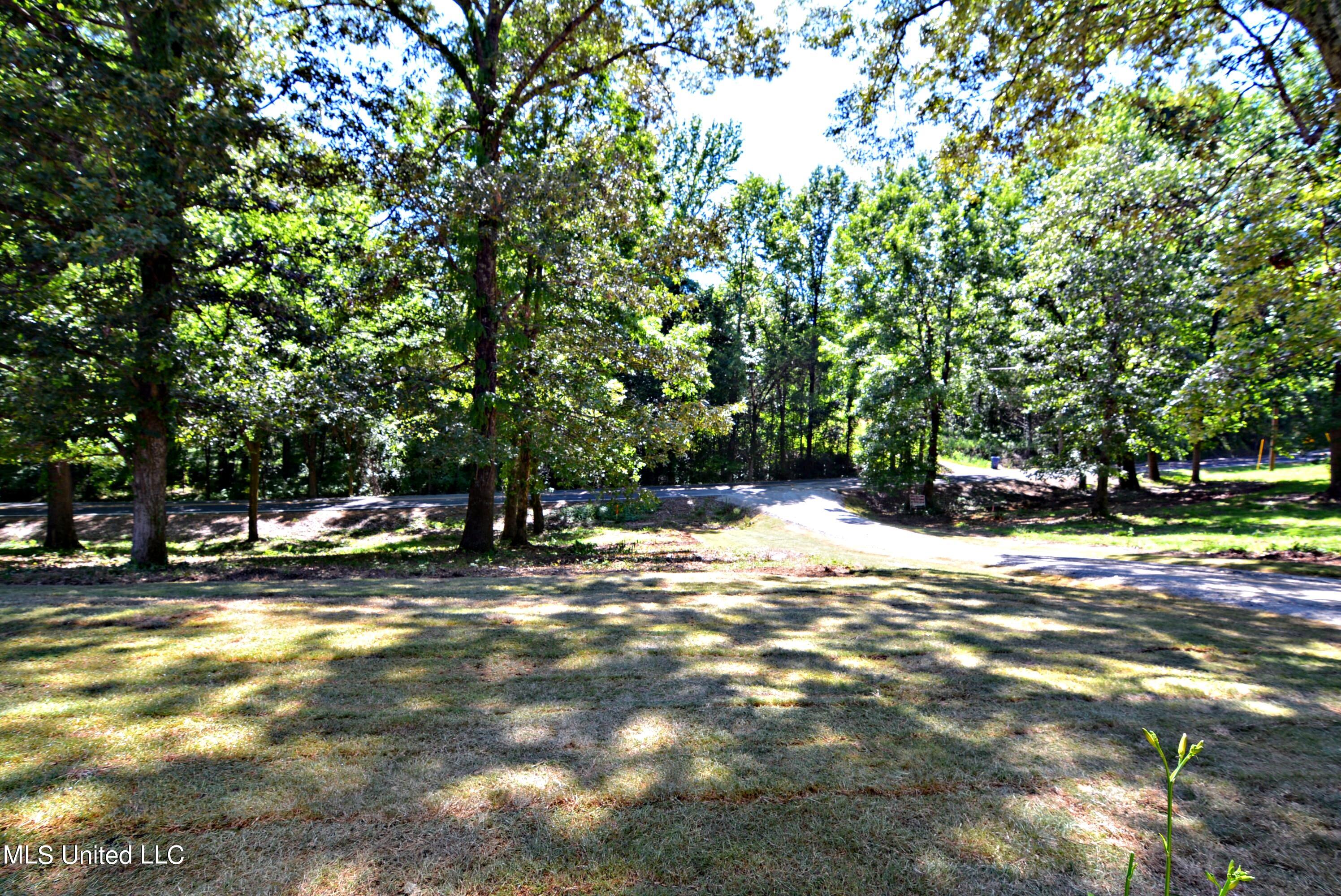 4810 Bluff Road Hernando, MS 38632 - Photo 26 of 27 View from front door
