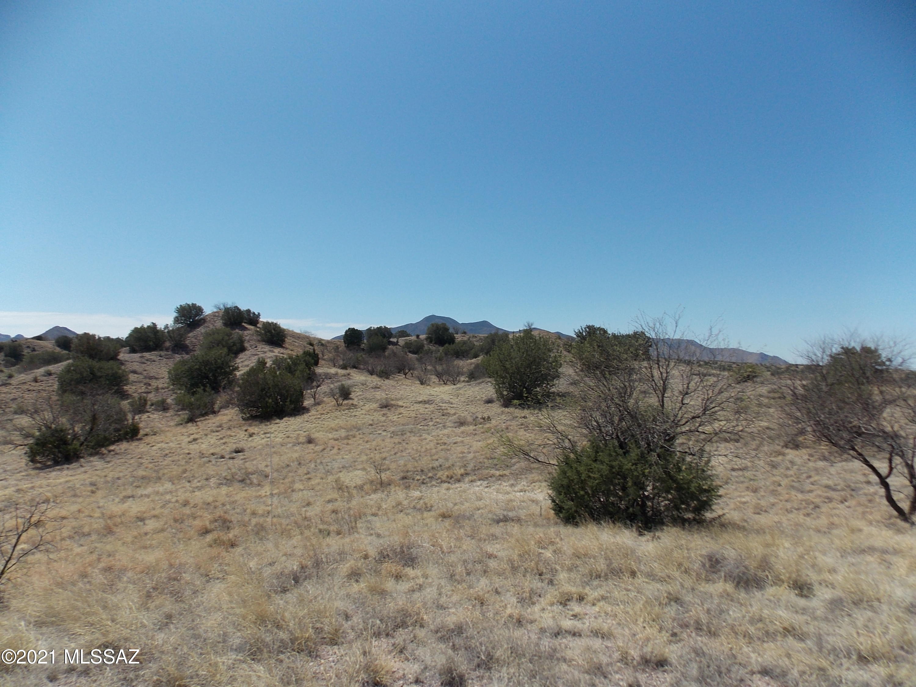 154 Tanglehead, Unit 44 Patagonia, AZ 85624 - Photo 3 of 15