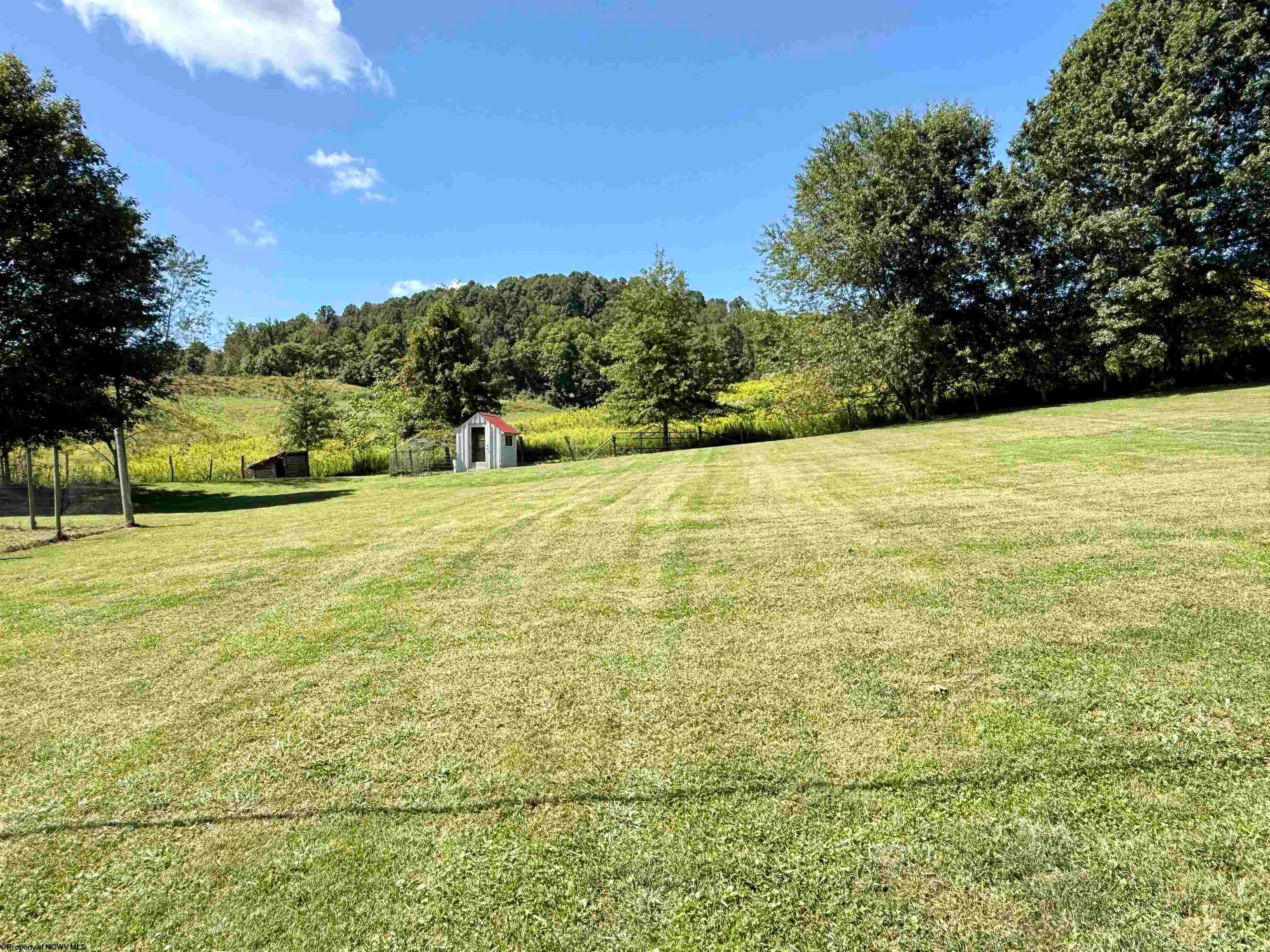 783 Meadland Road Flemington, WV 26347 - Photo 31 of 33 Gallery Image 31