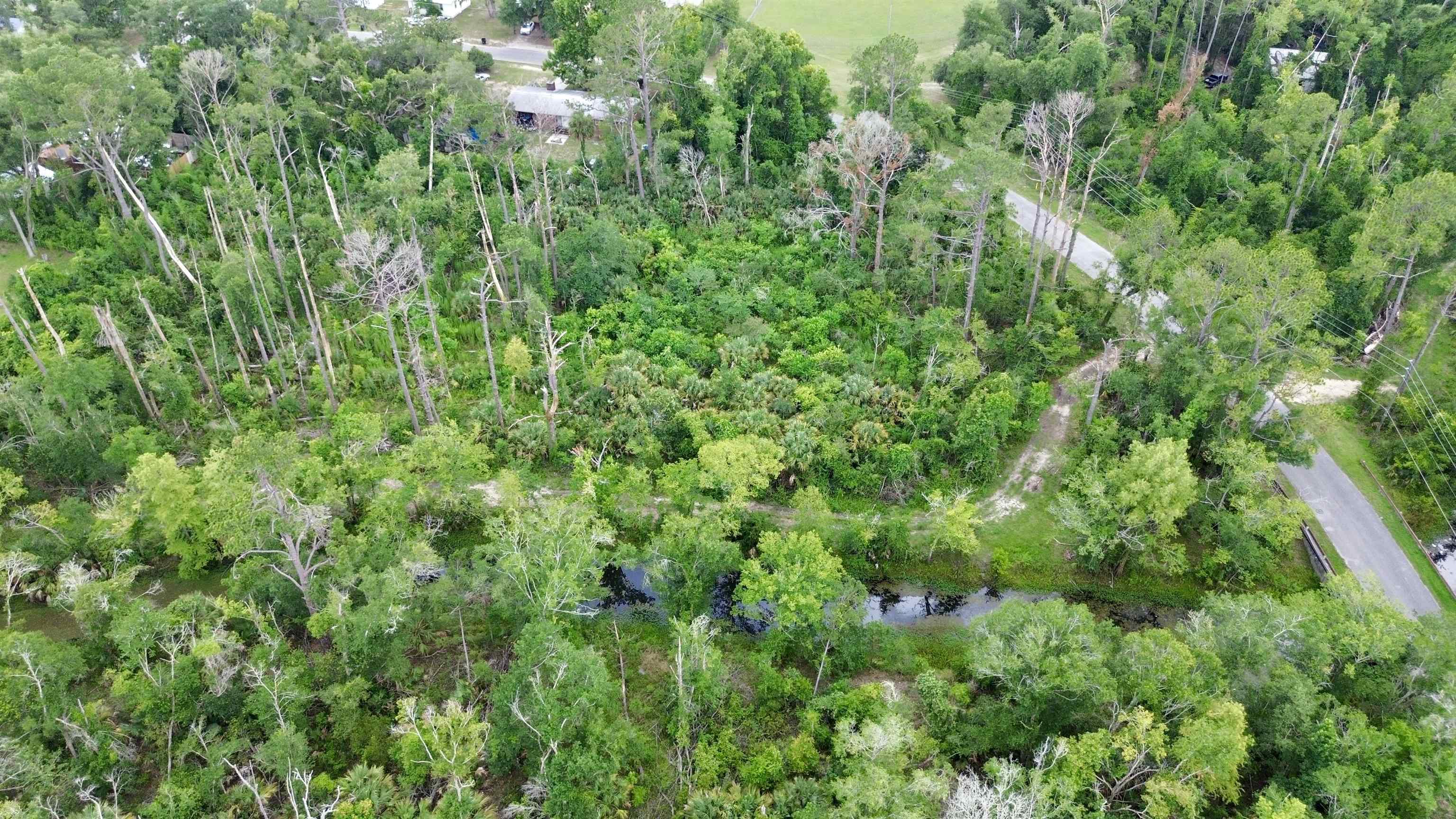 0 Cherry Street Perry, FL 32347 - Photo 4 of 8