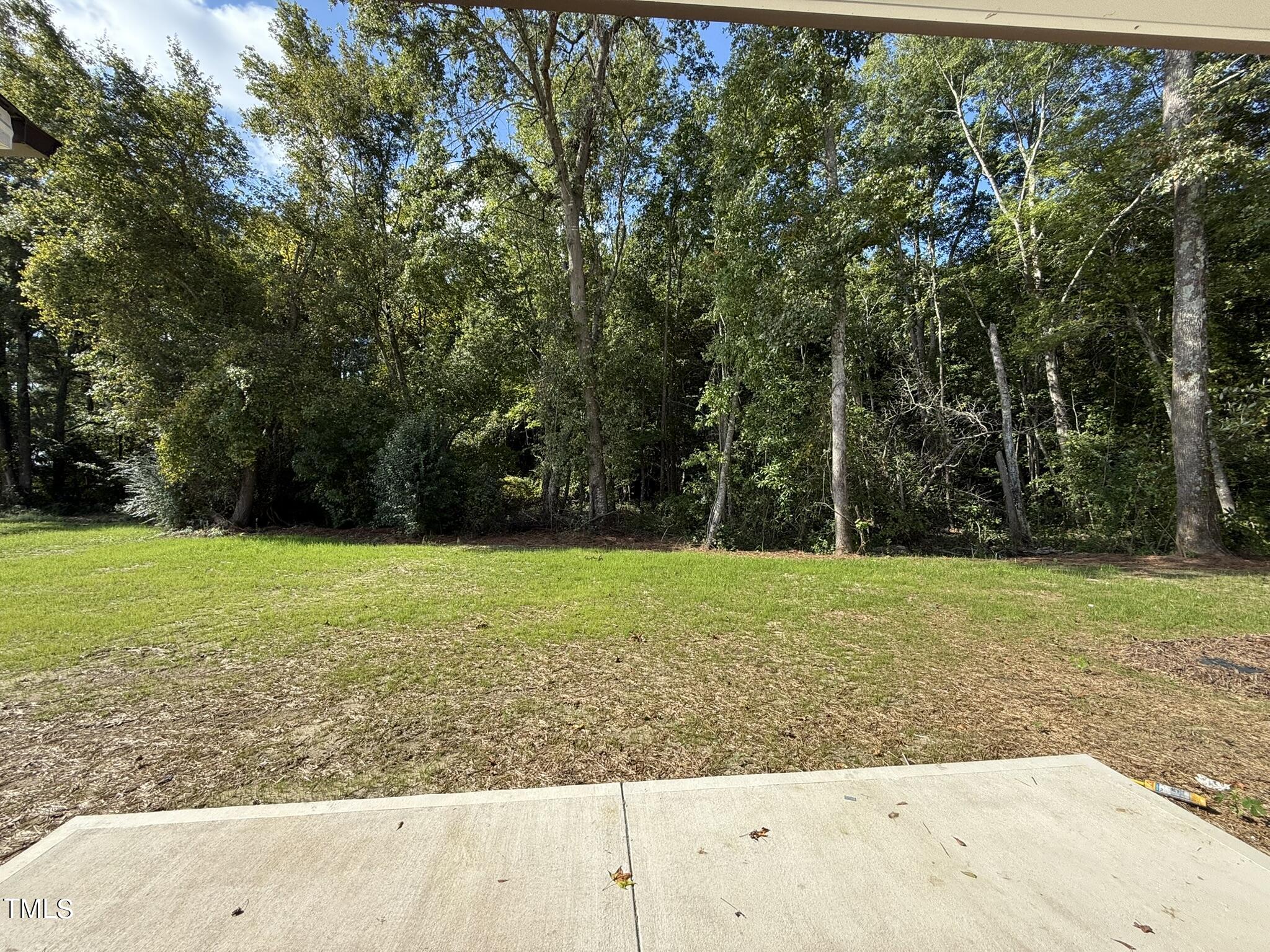 175 Grace Ridge Benson, NC 27504 - Photo 19 of 19 a view of a yard