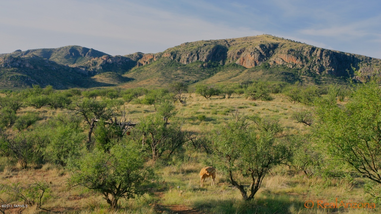 78 Poorwill Canyon Road Rio Rico, AZ 85648 - Photo 33 of 33