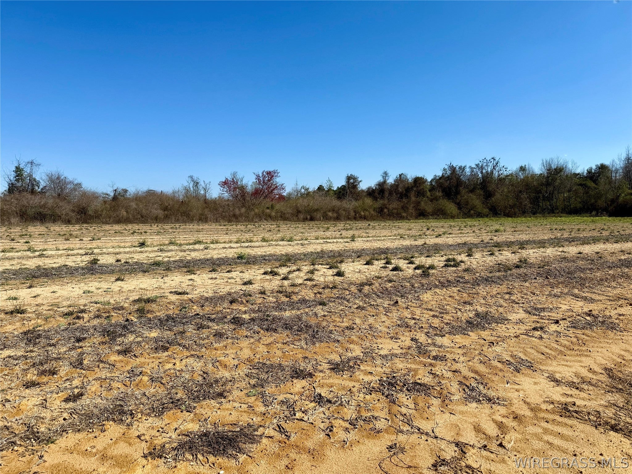 2.5-acres Garrett Road Ashford, AL 36312 - Photo 8 of 9 Gallery Image 8