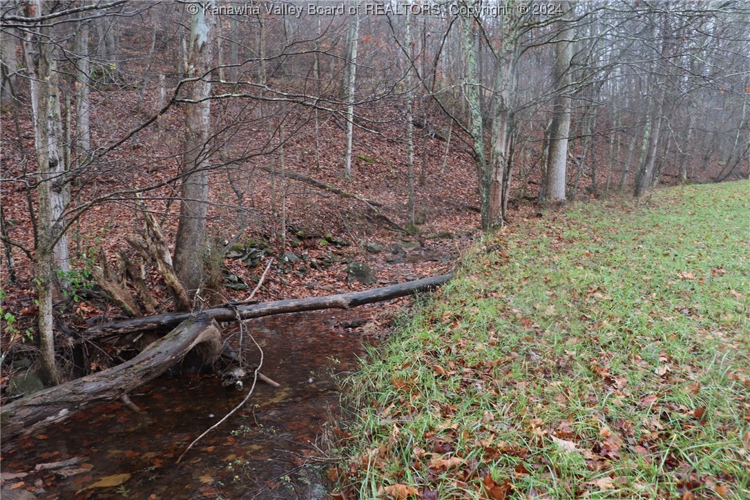 0 Colt Run Road Spencer, WV 25276 - Photo 22 of 25 Gallery Image 22