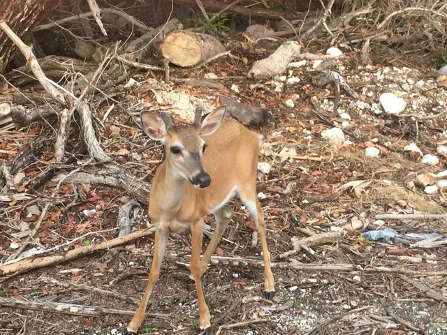 a picture of a window