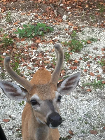 a view of outdoor space