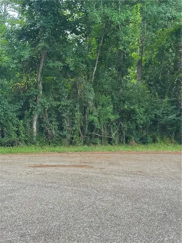 $59,000 | 0 Shady Lane, Tickfaw, LA 70466