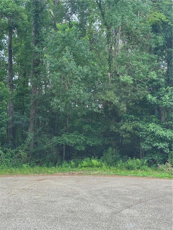 0 Shady Lane Tickfaw, LA 70466 - Photo 2 of 6