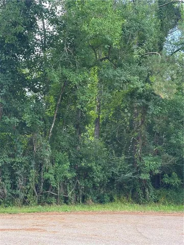 $59,000 | 0 Shady Lane, Tickfaw, LA 70466