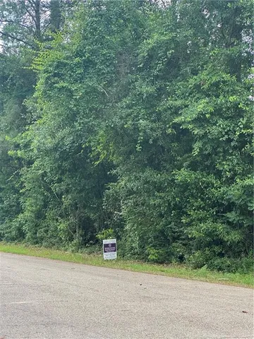 $59,000 | 0 Shady Lane, Tickfaw, LA 70466